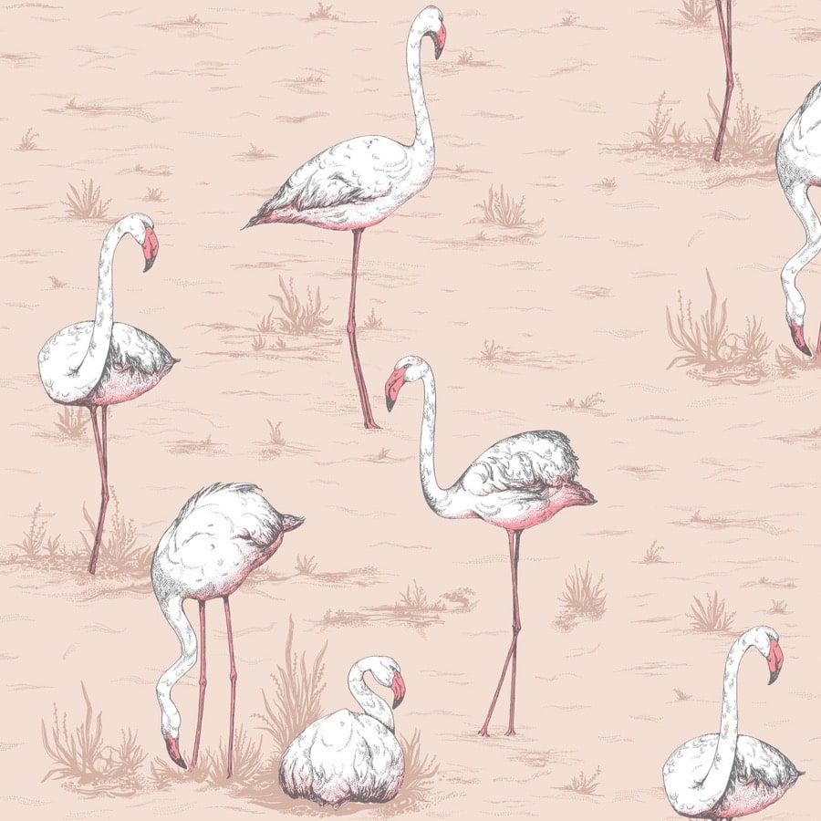 Flamingos Tapetprov