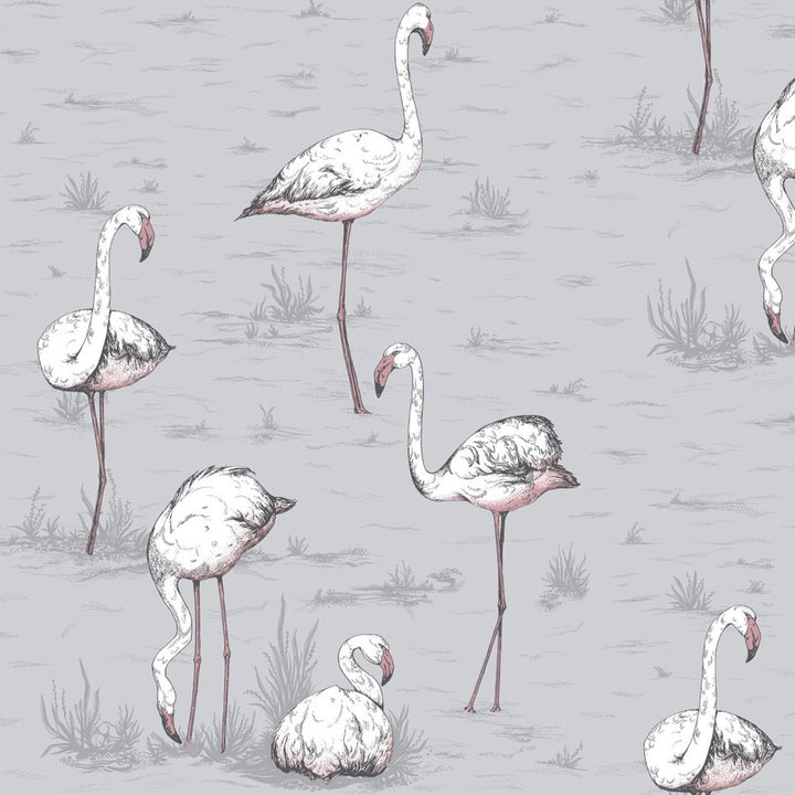 Flamingos Tapetprov