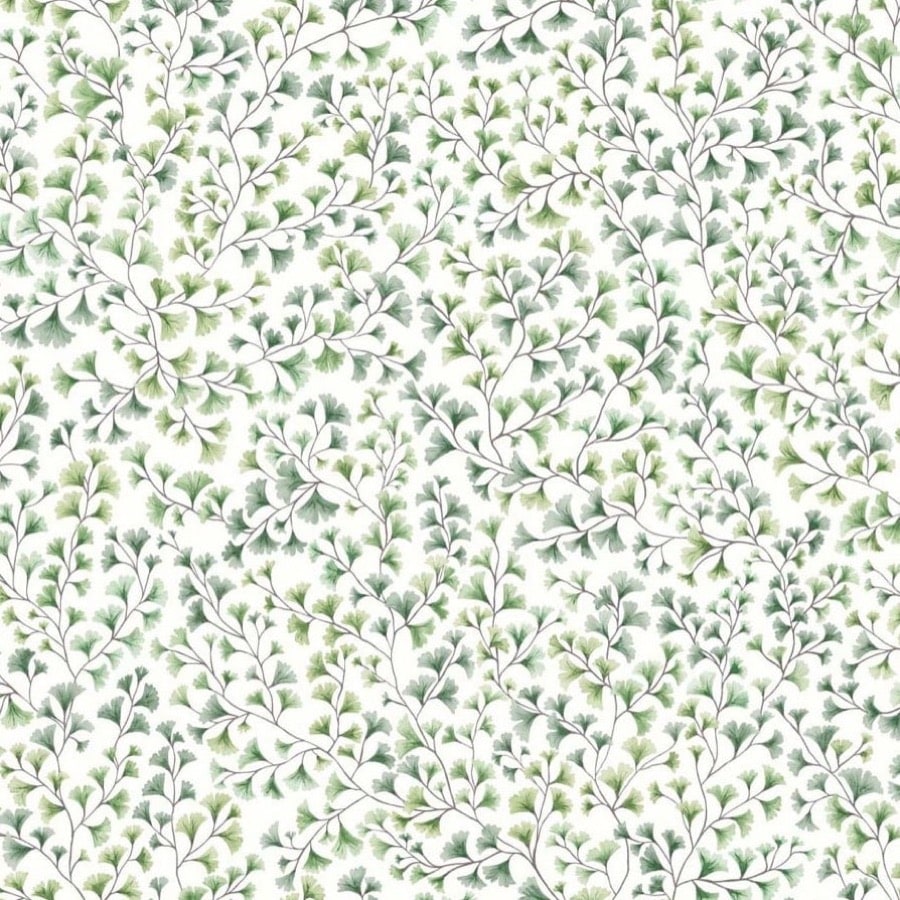 Maidenhair Tapetprov