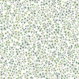 Maidenhair Tapetprov