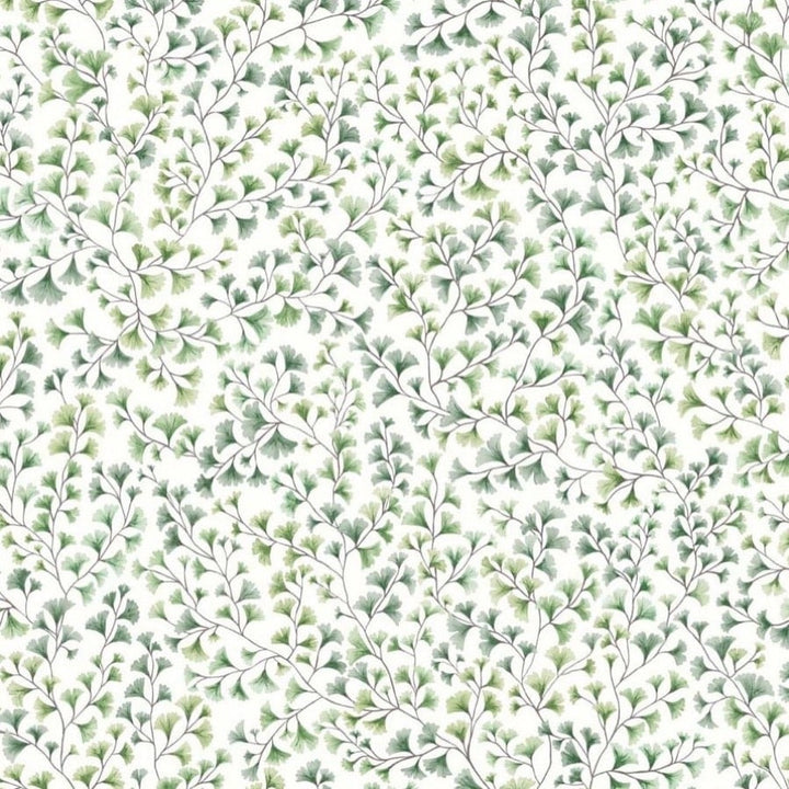 Maidenhair Tapetprov