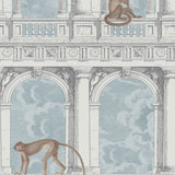 Procuratie Con Vista Tapetprov