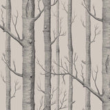 Woods Tapetprov