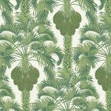 Hollywood Palm Tapetprov