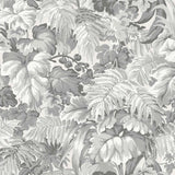 Royal Fernery 11 — Cole & Son tapetprov
