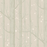 Woods & Stars Tapetprov