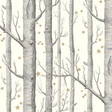 Woods & Stars Tapetprov