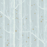 Woods & Stars Tapetprov