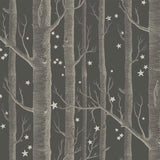 Woods & Stars Tapetprov