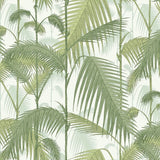 Palm Jungle Tygprov