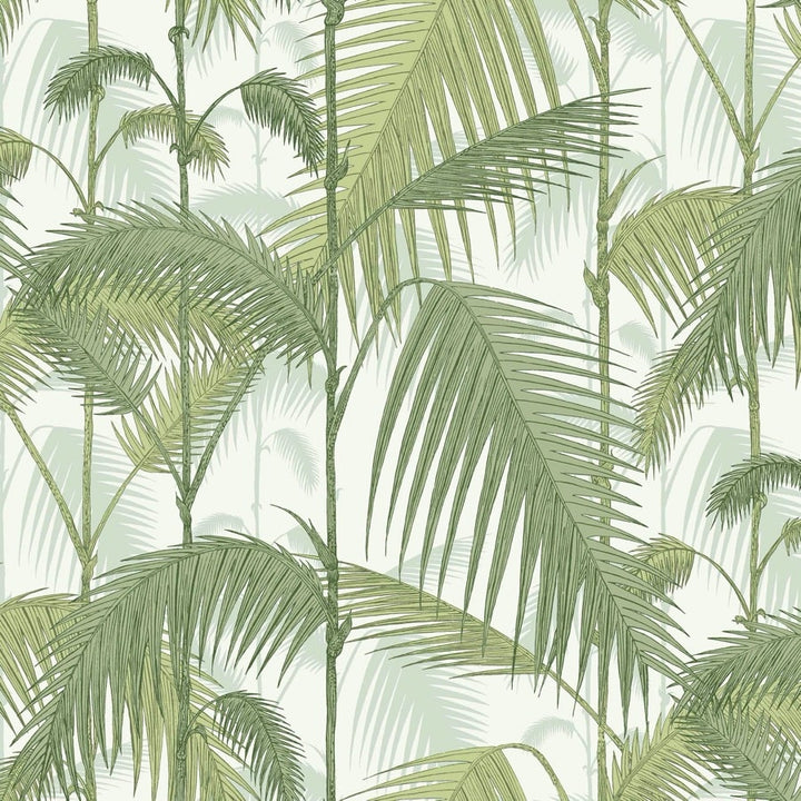 Palm Jungle Tygprov