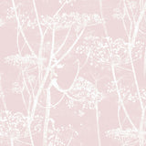 Cow Parsley Tygprov