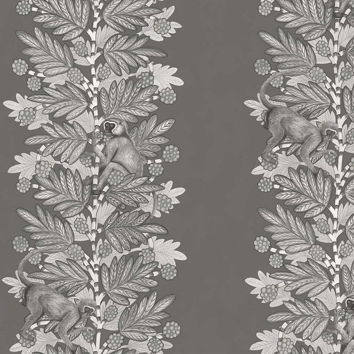 Acacia Tapetprov