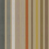 Carousel Stripe Tapetprov
