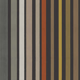 Carousel Stripe Tapetprov