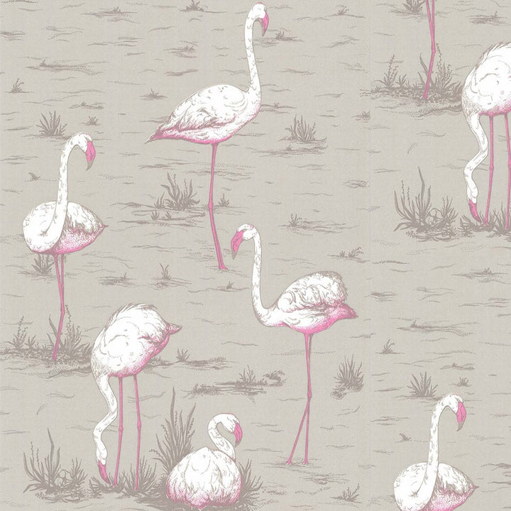 Flamingos Tapetprov