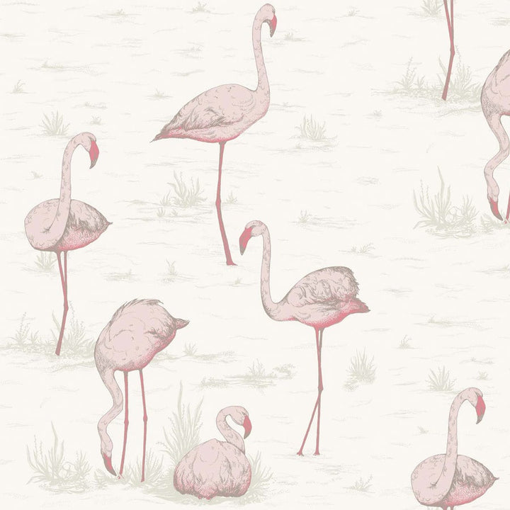 Flamingos Tapetprov