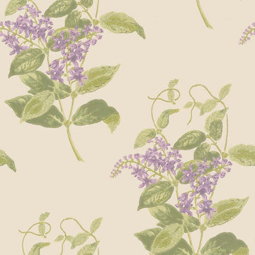 Madras Violet Tapetprov