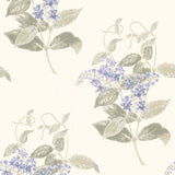 Madras Violet Tapetprov