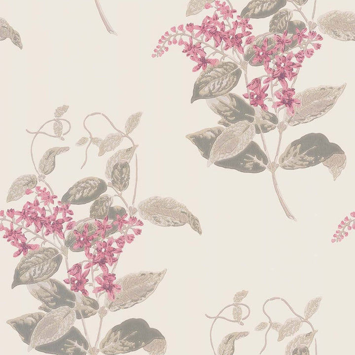Madras Violet Tapetprov
