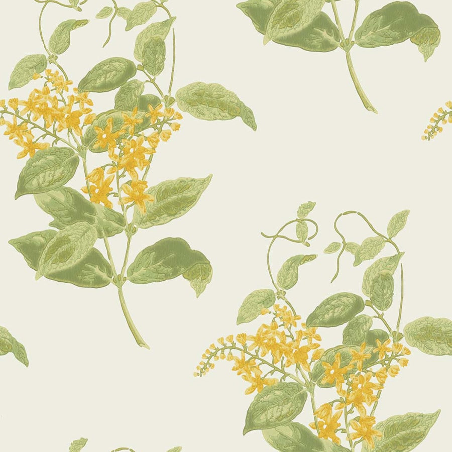 Madras Violet Tapetprov