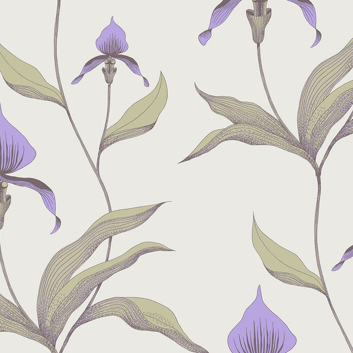 Orchid Tapetprov