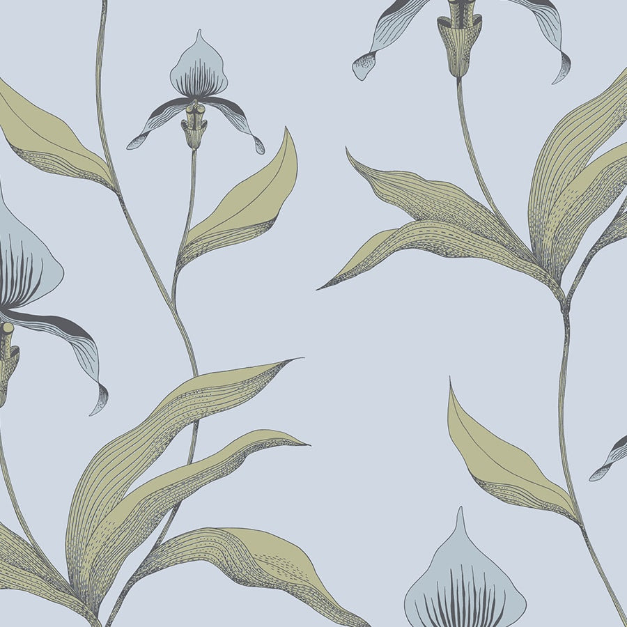 Orchid Tapetprov