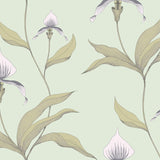 Orchid Tapetprov