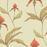 Orchid Tapetprov
