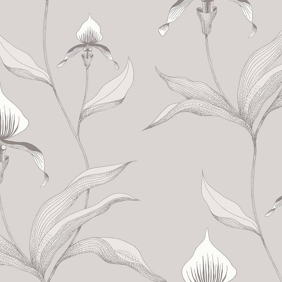 Orchid Tapetprov
