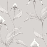 Orchid Tapetprov