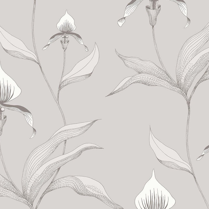 Orchid Tapetprov