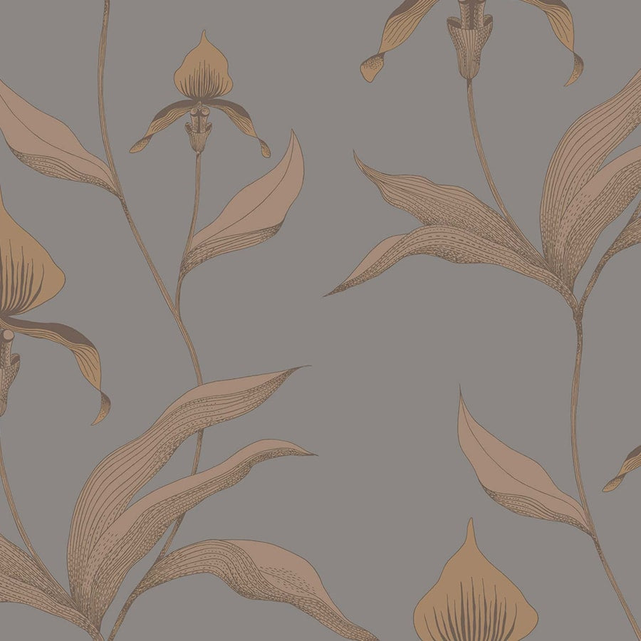 Orchid Tapetprov