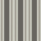 Polo Stripe Tapetprov
