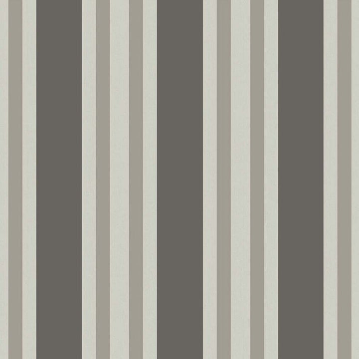 Polo Stripe Tapetprov