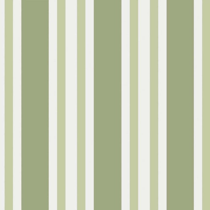 Polo Stripe Tapetprov