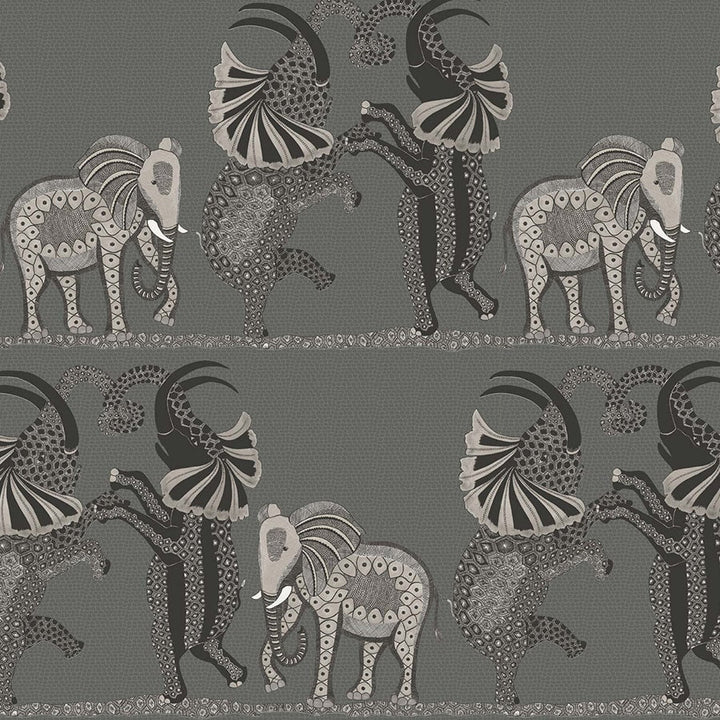 Safari Dance Tapetprov