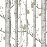 Woods & Pears Tapetprov