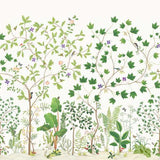 Sanderson Tapet Sycamore & Oak
