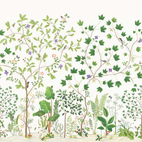 Sanderson Tapet Sycamore & Oak