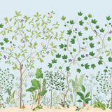 Sanderson Tapet Sycamore & Oak