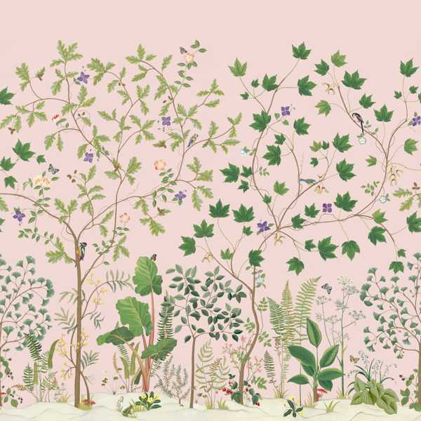 Sanderson Tapet Sycamore & Oak