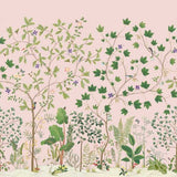 Sanderson Tapet Sycamore & Oak