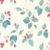 Sanderson Tapet Rubus