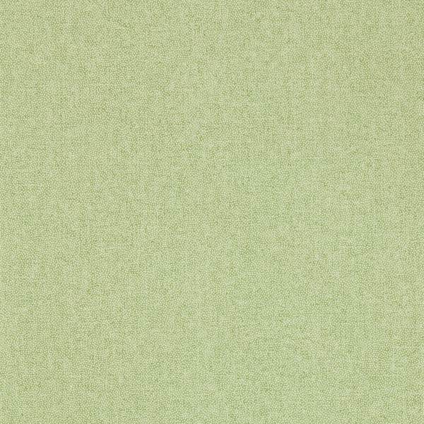 Sanderson Tapet Sessile Plain