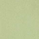 Sanderson Tapet Sessile Plain