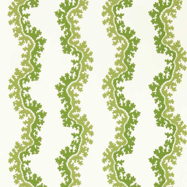 Sanderson Tapet Oxbow
