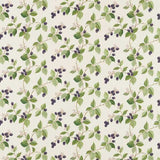 Sanderson Tygprov Rubus