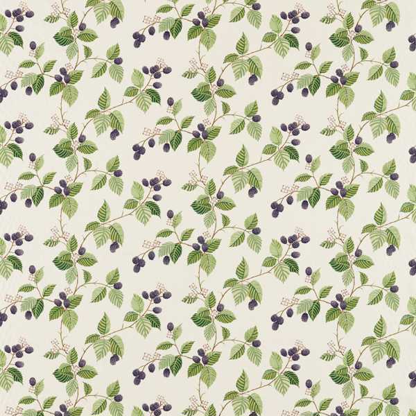 Sanderson Tygprov Rubus