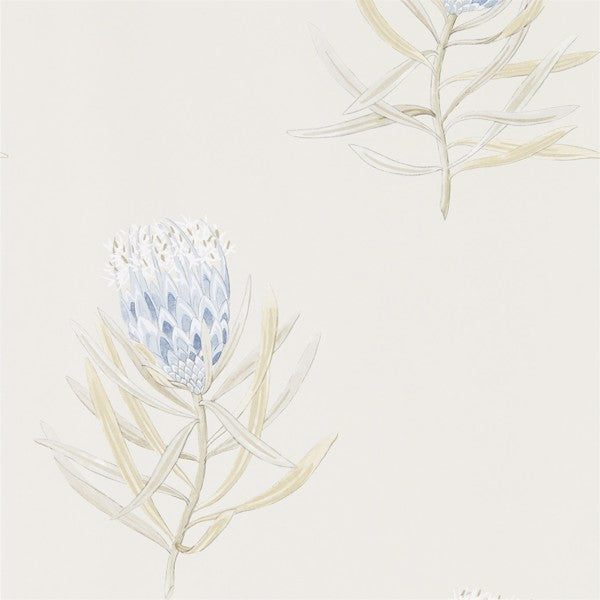 Sanderson Tapet Protea Flower